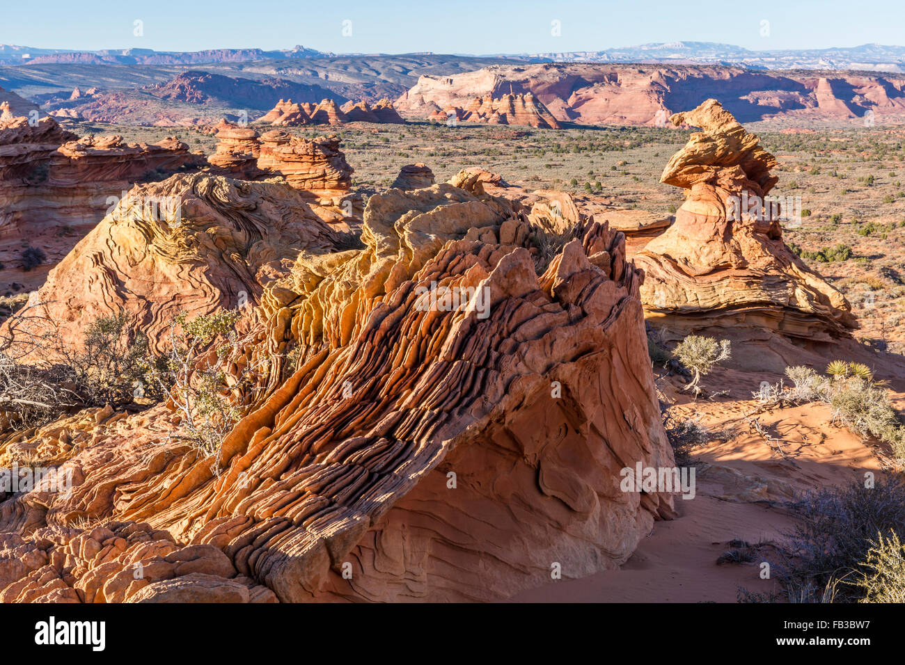 Strane formazioni rocciose note come rocce Dali in Coyote Buttes regione del Vermillion Cliffs National Monument in Arizona Foto Stock