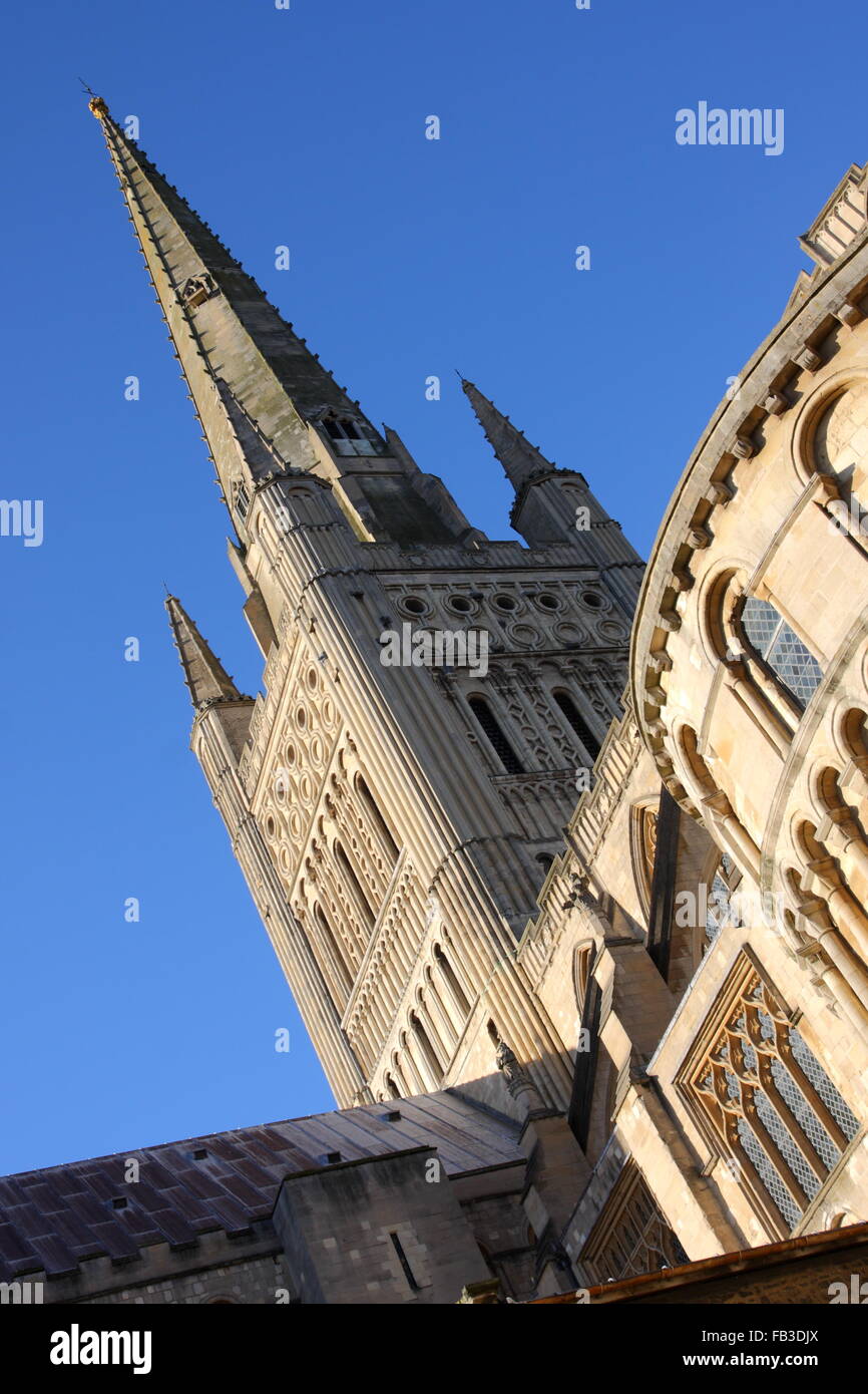 Norwich Cathedral contro un cielo blu Foto Stock