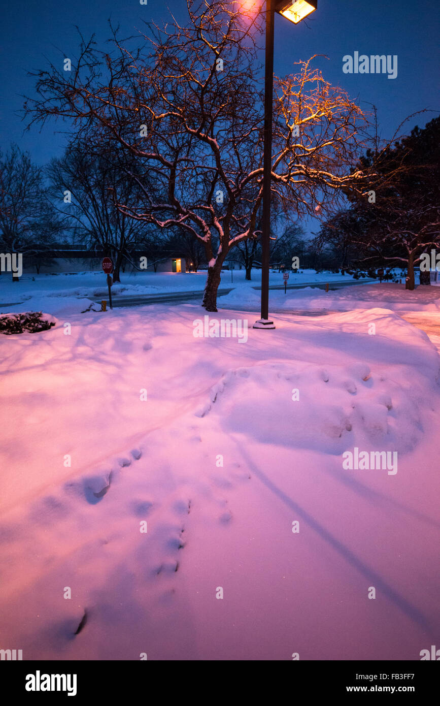 Tinte porpora si illumina un accumulo di neve in inverno Foto Stock