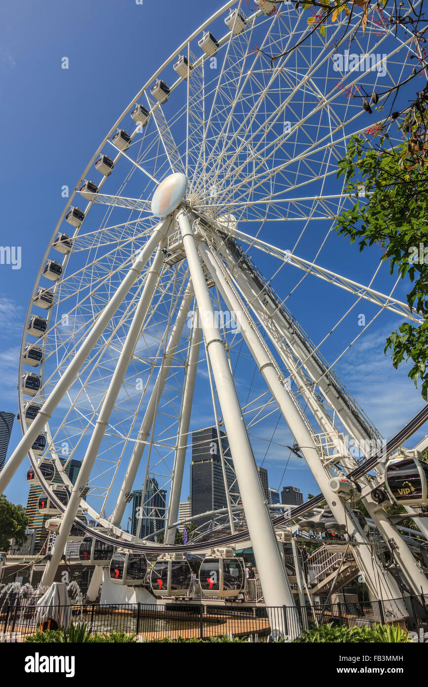 La Ruota Panoramica di Brisbane si trova a South Bank nel cuore delle attività culturali, lo stile di vita e il quartiere dei divertimenti, QLD Foto Stock
