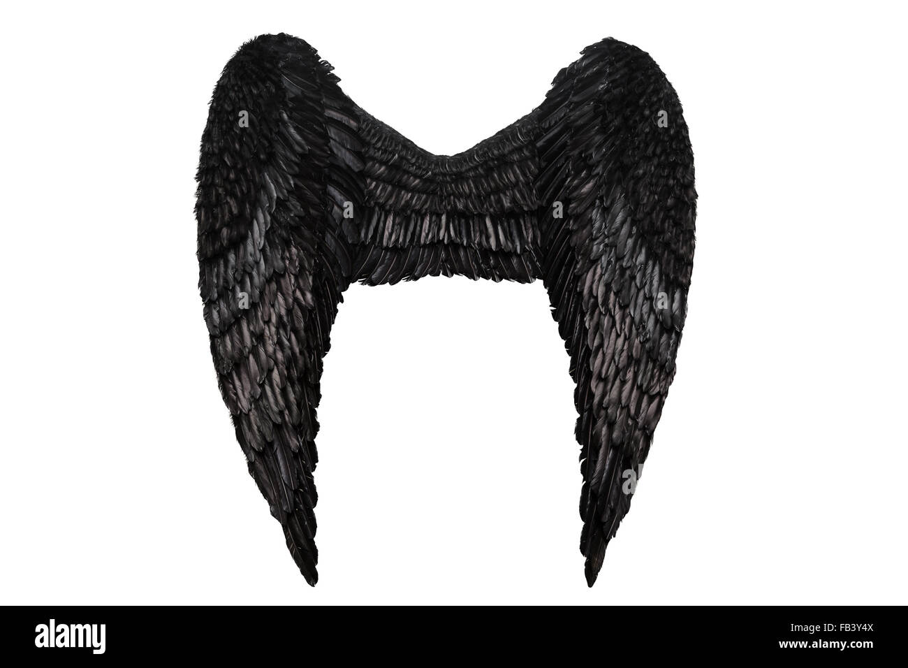 Ali nero su bianco Foto Stock