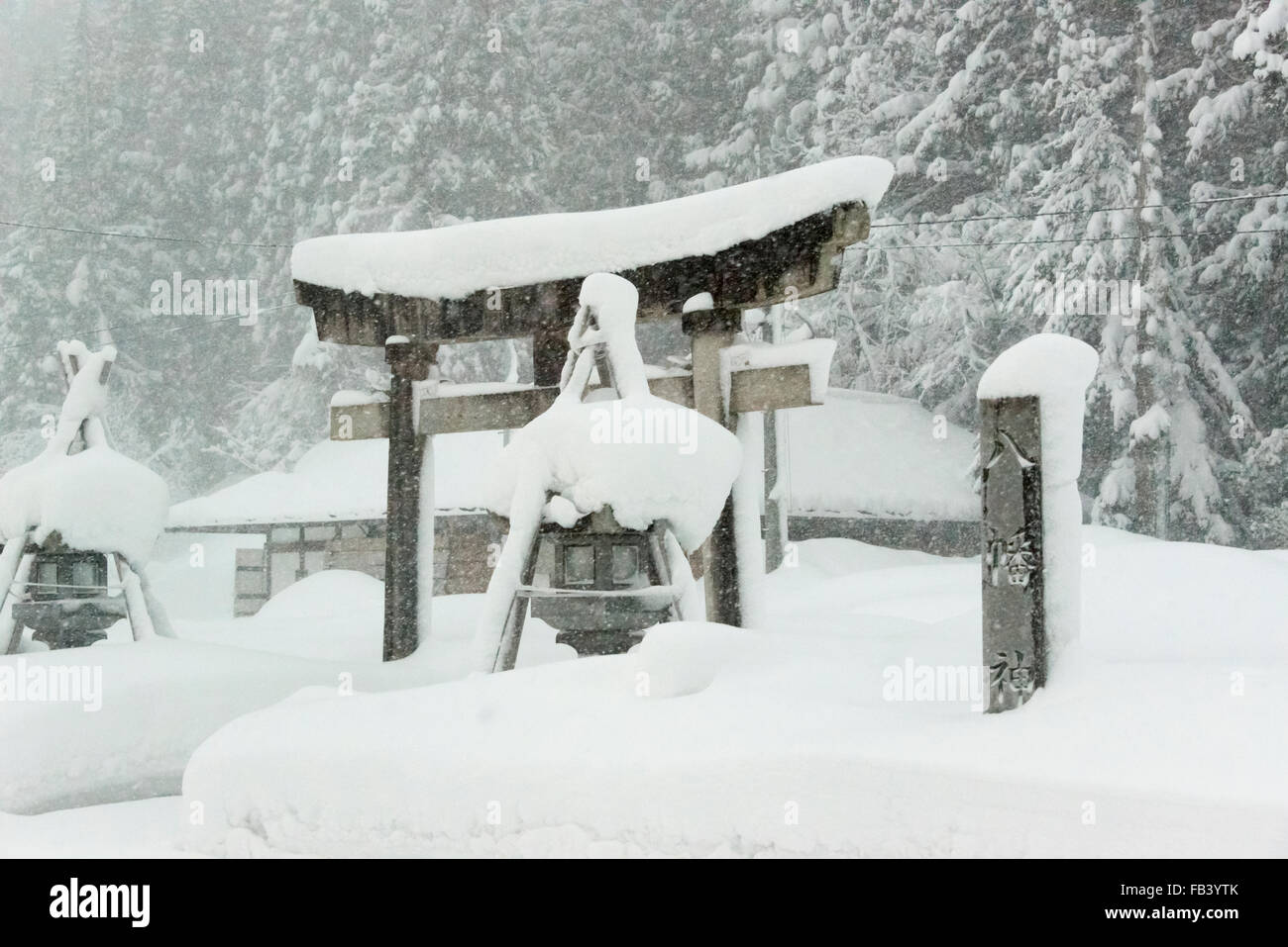Torii gate e lanterne di pietra nella tempesta di neve, Prefettura di Gifu, Giappone Foto Stock