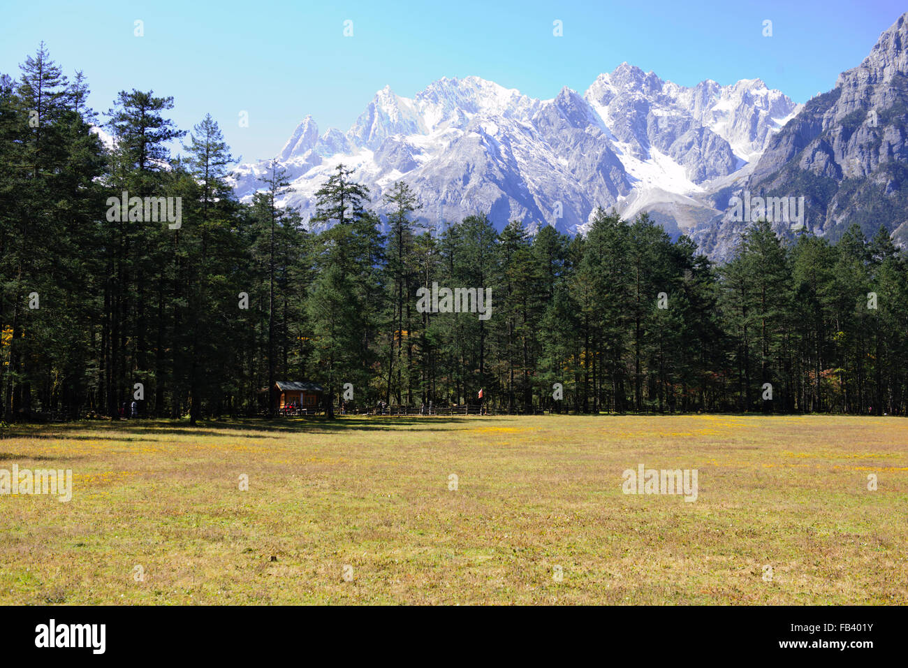 Jade Dragon Snow Mountain,popolare destinazione turistica con la Funivia,prati circondati da foreste e bandiere di preghiera,Fortuna fascino,nella provincia dello Yunnan,Cina Foto Stock