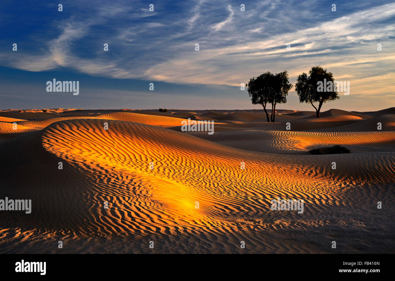 Paesaggio di Empty Quarter, Rub al Khali Desert, Oman Foto Stock