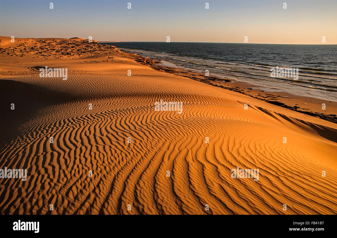 Paesaggio serale di Wahiba Sands, al Sharqiya, Oman, Oman Foto Stock