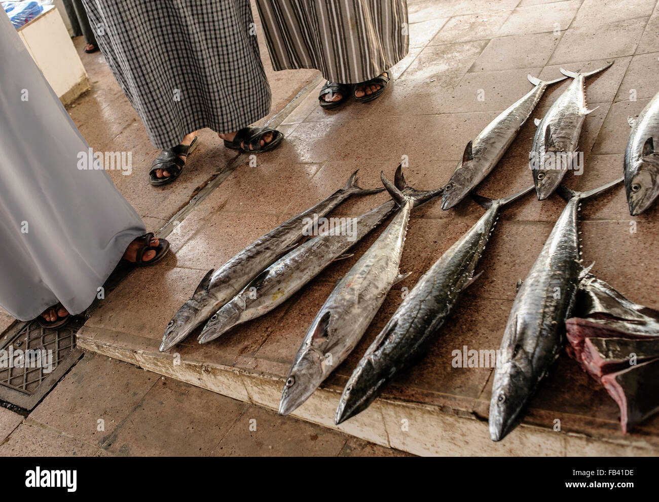 Mattina al mercato del pesce in Barka, Oman Foto Stock