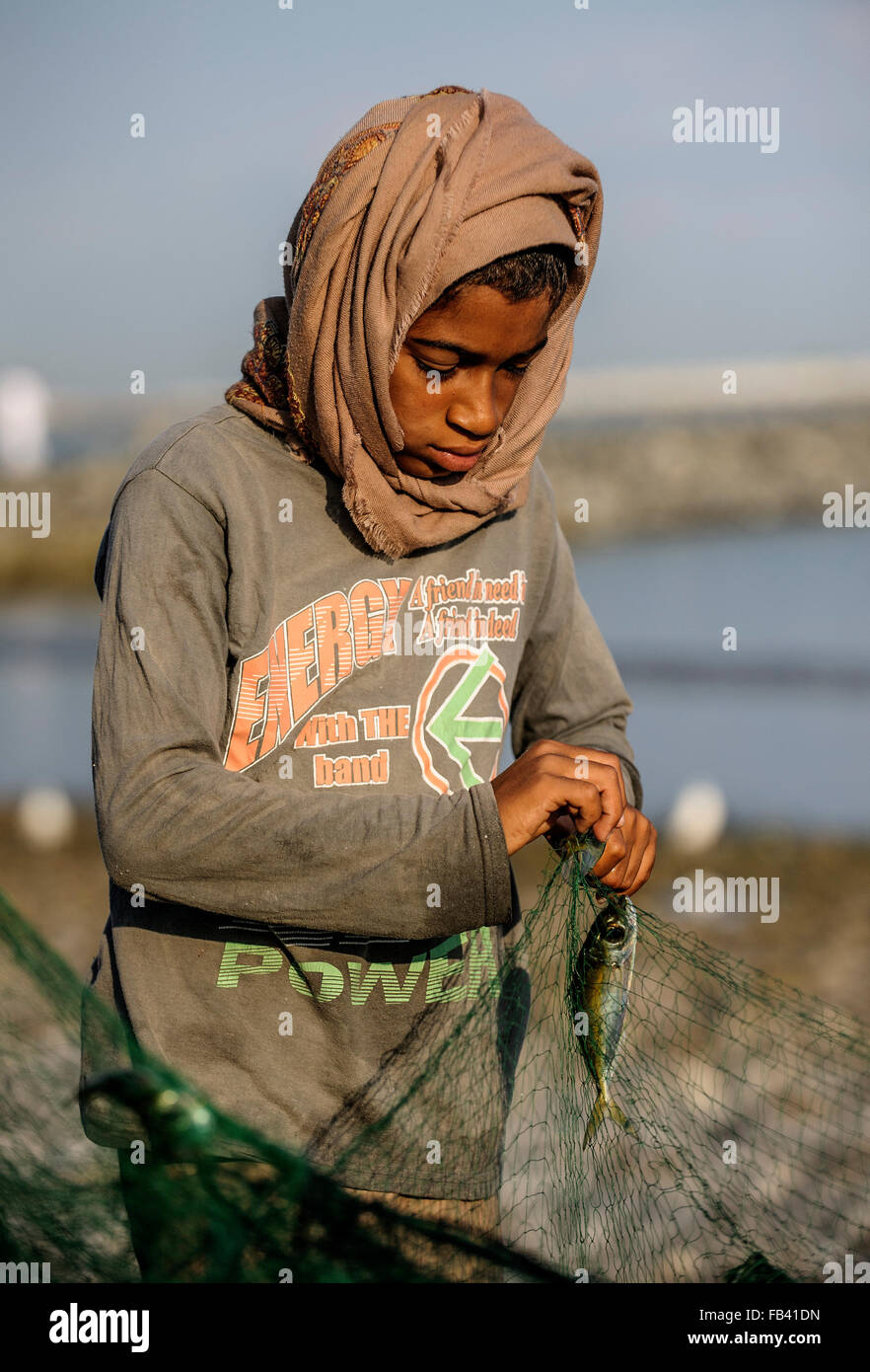 Estrarre il pesce dalle reti, mercato del pesce in Barka, Oman Foto Stock