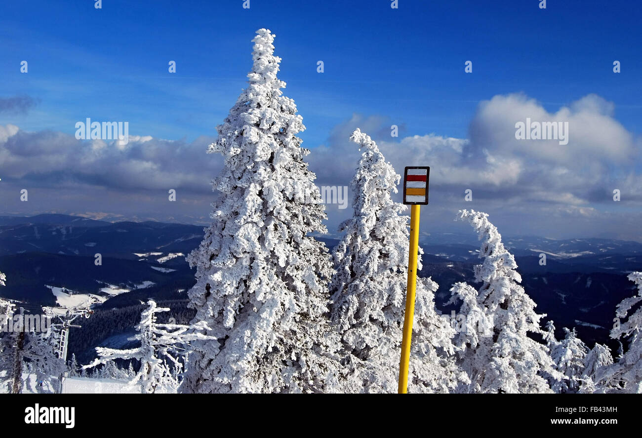 Sentiero escursionistico marker con alberi congelati nei pressi di Lysa Hora hill in le montagne di Moravskoslezske Beskydy Foto Stock