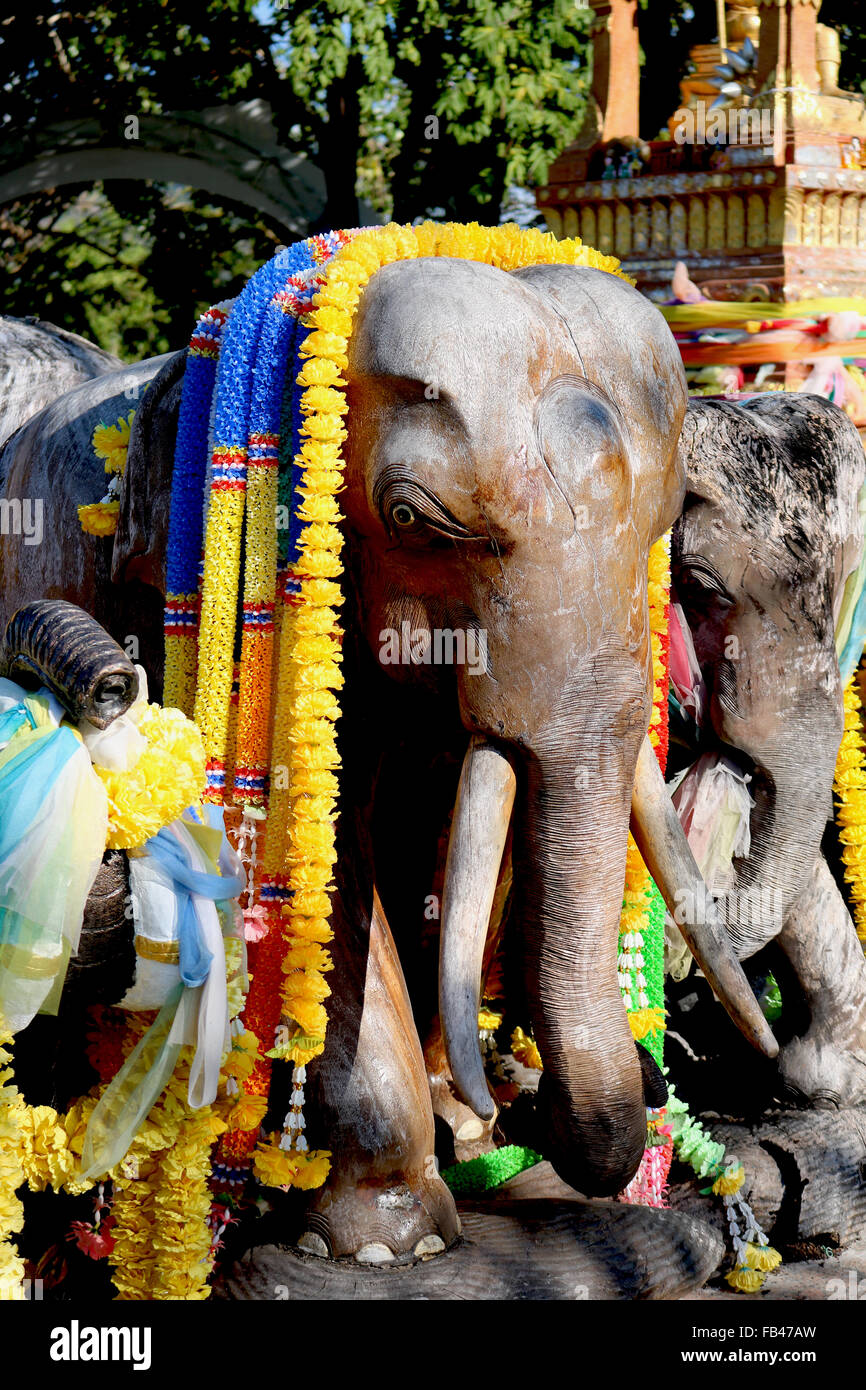 Thailandia Phuket Laem Phromthep elefante santuario di Promthep Cape Adrian Baker Foto Stock