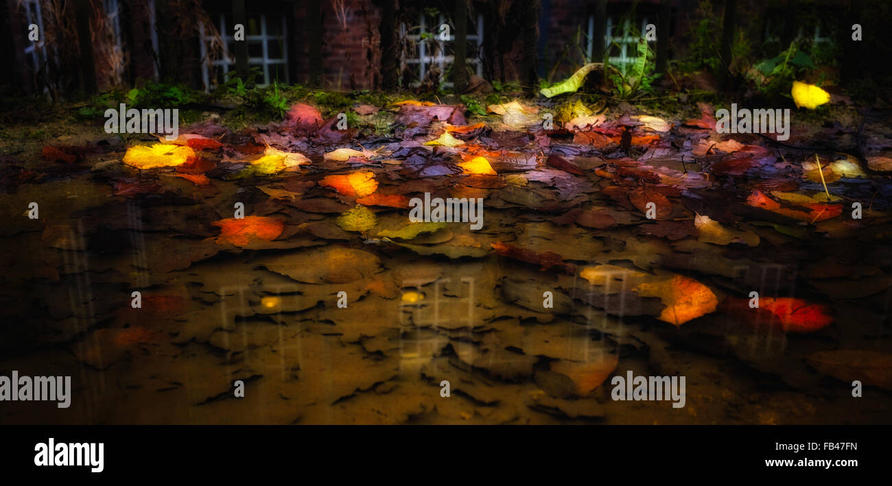 Sunken Foglie di autunno in una chiara pozza di pioggia al di fuori di un vecchio mulino con ringhiera in primo piano Foto Stock