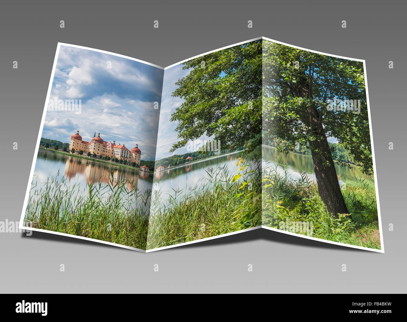 Castello di Moritzburg vicino a Dresda, distretto amministrativo di Meissen, in Sassonia, Germania, Europa Foto Stock