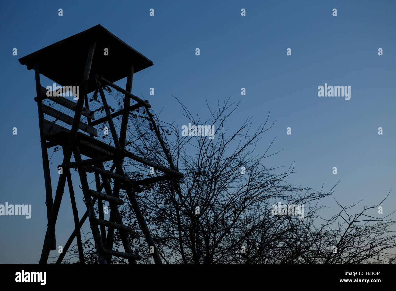 Cacciatori di legno sedile alta torre di caccia Foto Stock