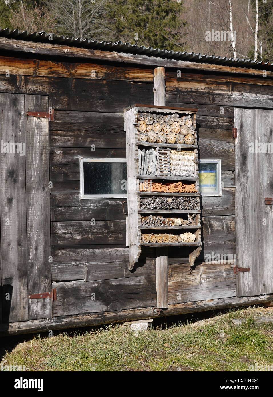 Esempio di un insetto casa fatta da un artigiano locale Bois in Le Crot, Vallorcines in Francia Foto Stock