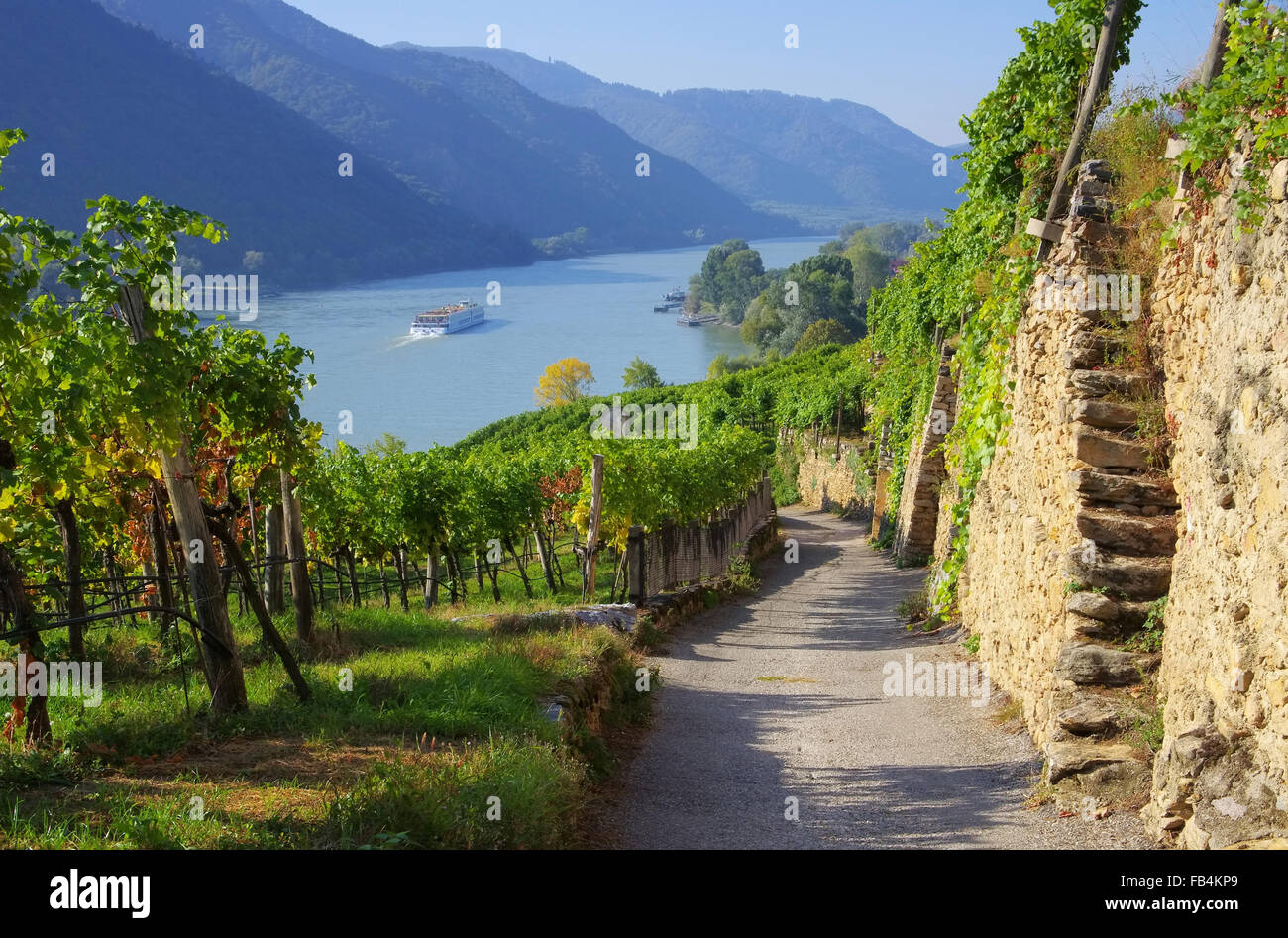 Wachau Weinberg - Wachau vigna 15 Foto Stock