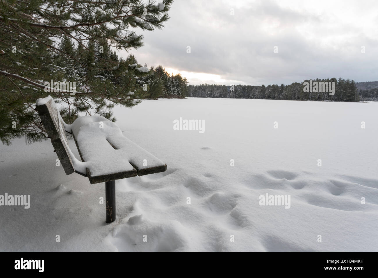 Scena invernale in un parco con una coperta di neve banco in primo piano Foto Stock