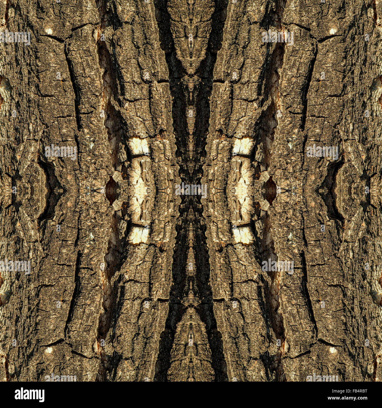 Vecchio di corteccia di albero seamless texture, configurazione astratta o sfondo illustrazione. in tono di colore verdastro. Il tema naturale. Foto Stock