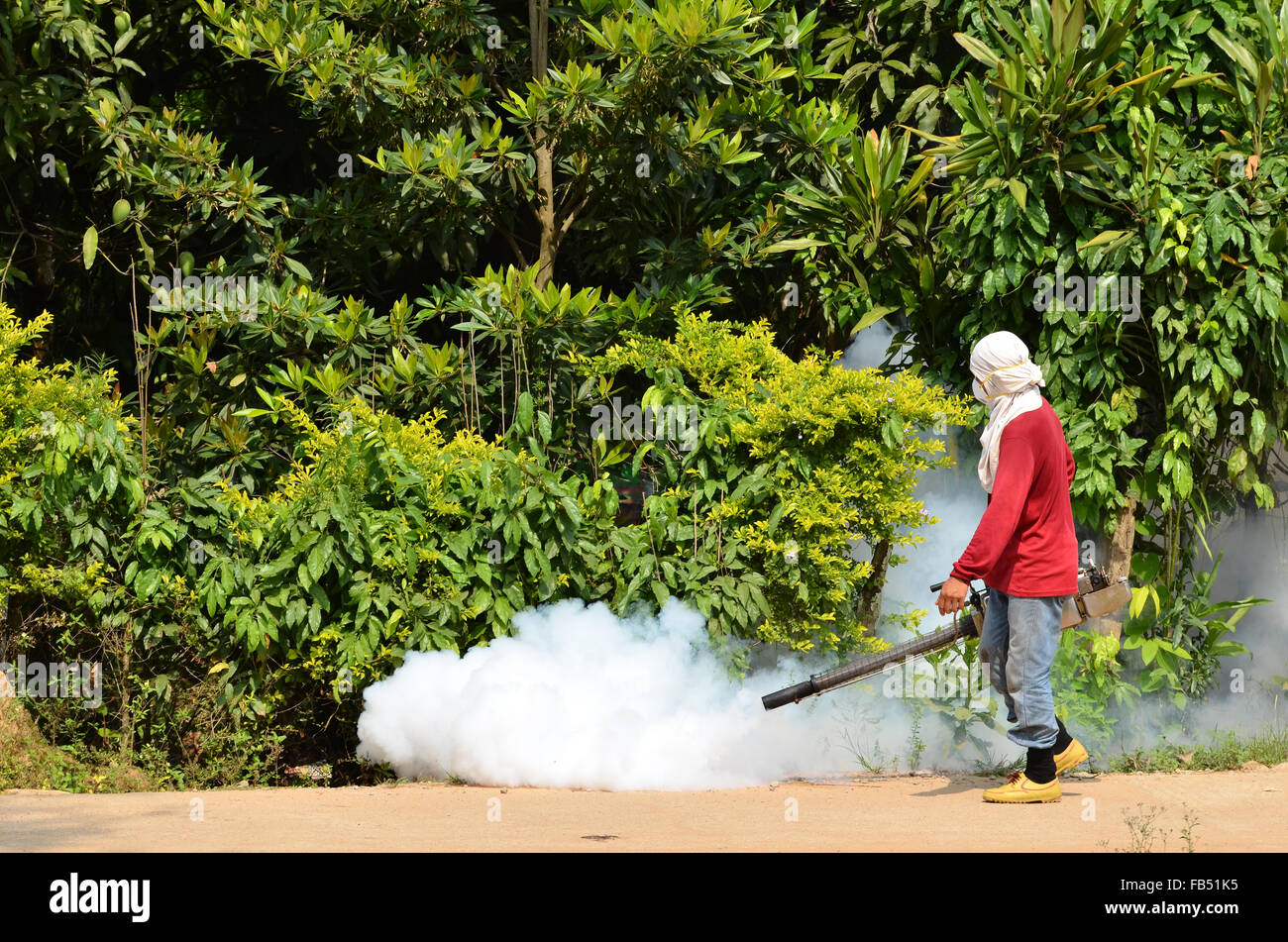 Uomo di appannamento per prevenire la diffusione della febbre dengue in Thailandia Foto Stock