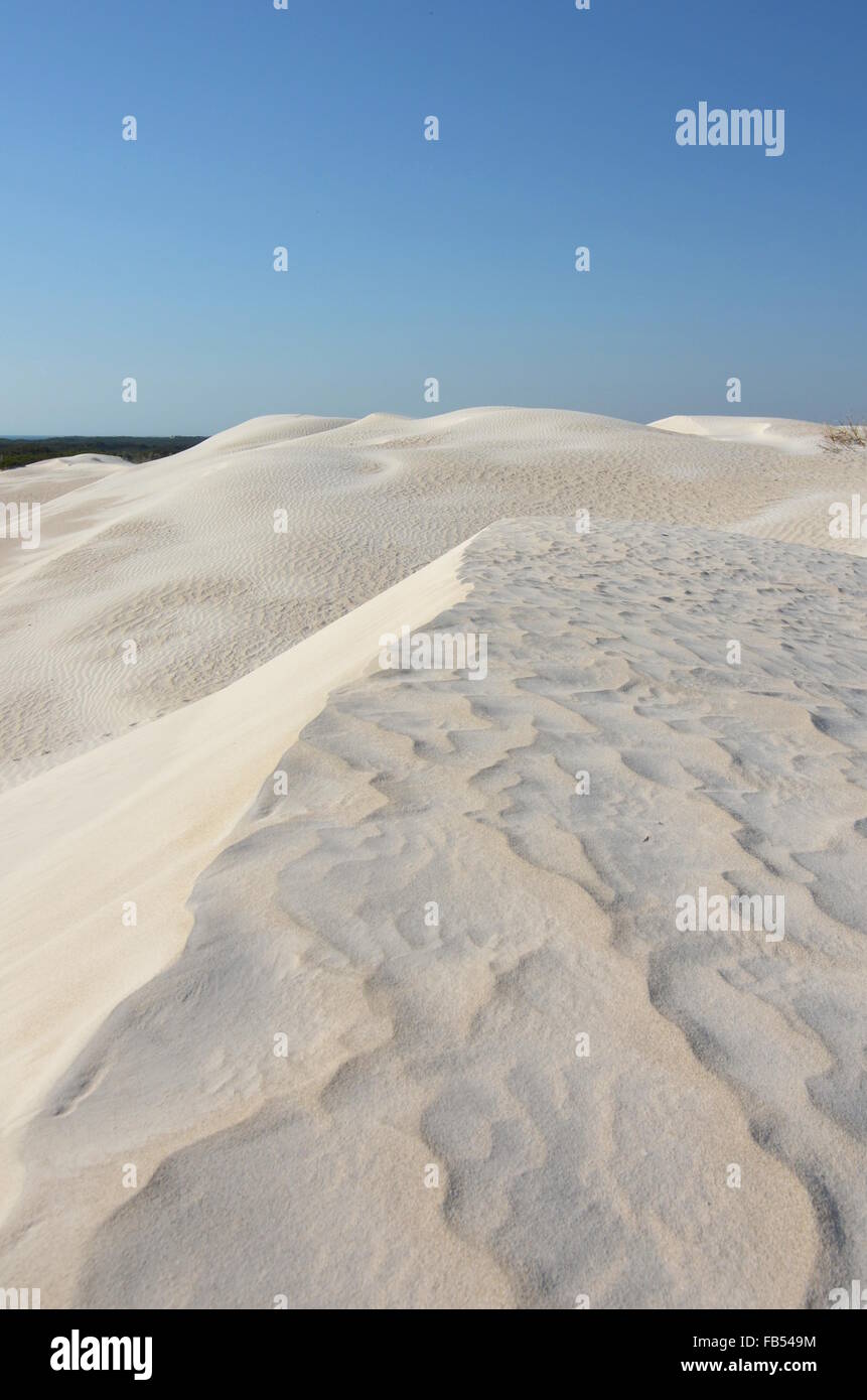 Le dune di sabbia bianca nel Nambung National Park, Australia occidentale Foto Stock