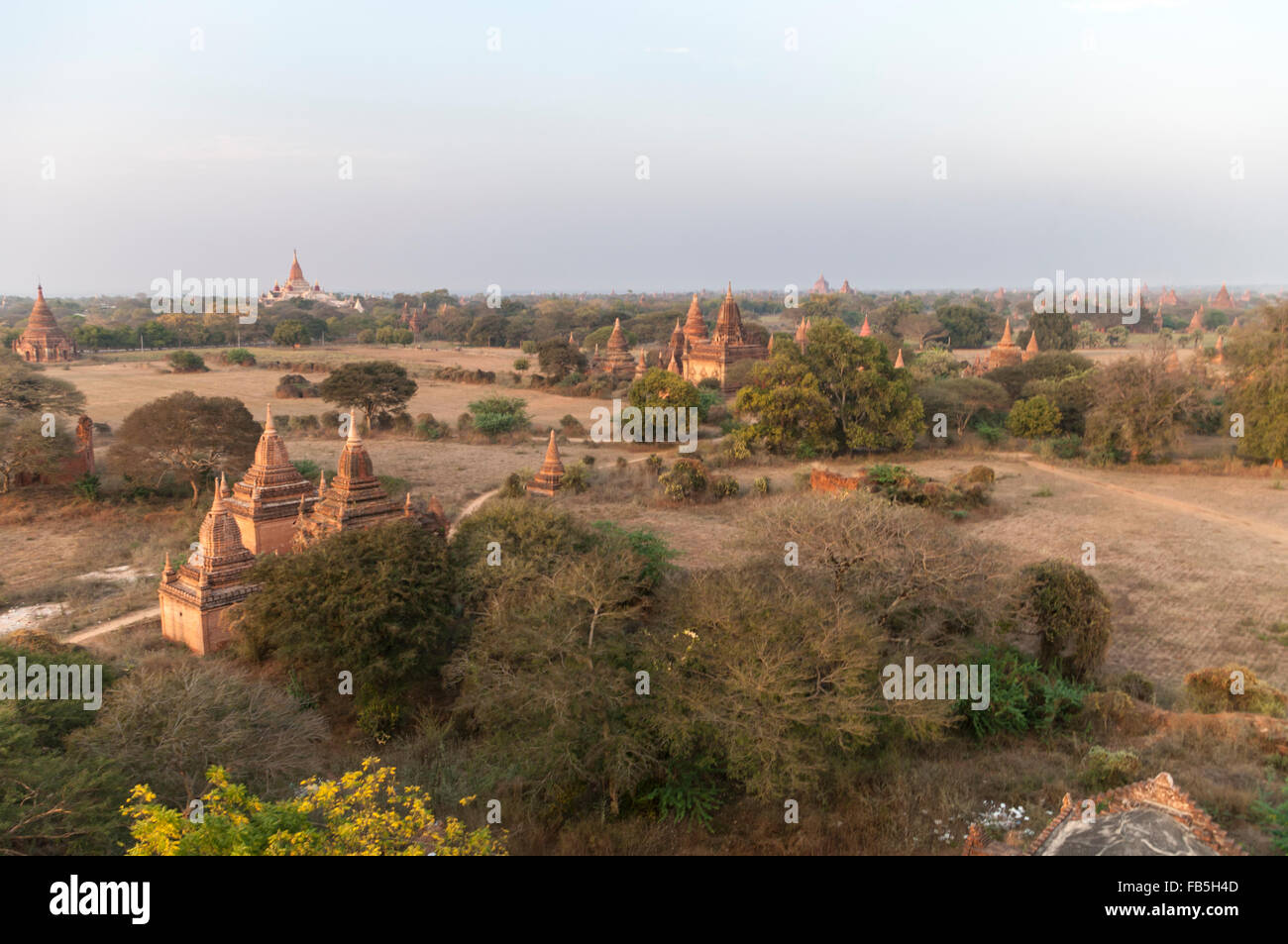 Bagan pianure in mattina presto, con migliaia di templi. Bagan, Myanmar (Birmania). Foto Stock