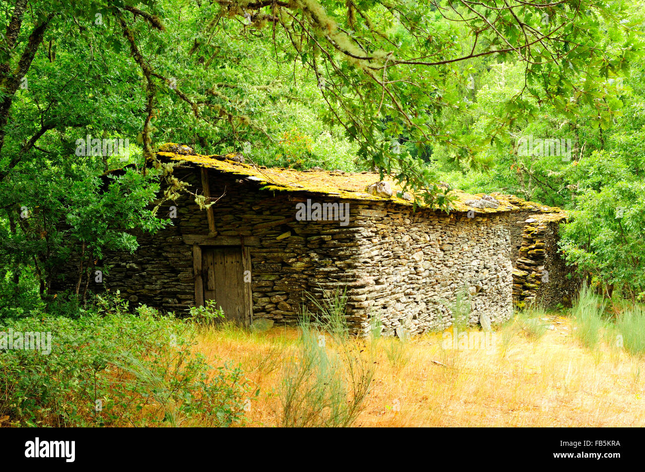 Il vecchio edificio dedicato per asciugare le castagne, denominato 'sequeiro'. O Caurel, Galizia, Spagna. Foto Stock