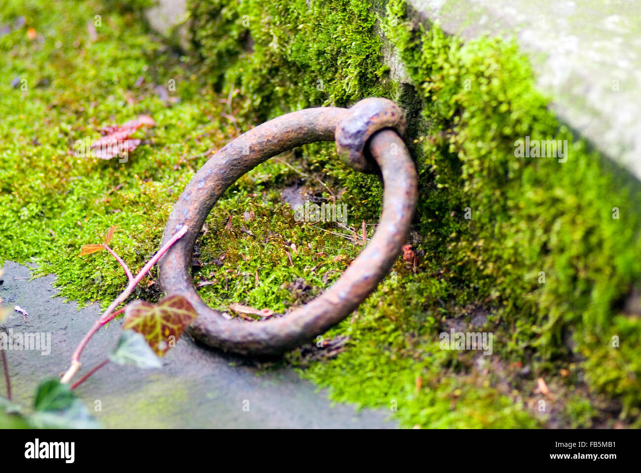 Rustico anello metallico su un cimitero Foto Stock