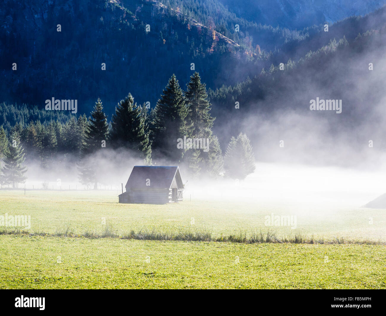 Valley Hinterstein, vicino a Bad Hindeland, alpino baita in legno, autunno, nebbia. Foto Stock