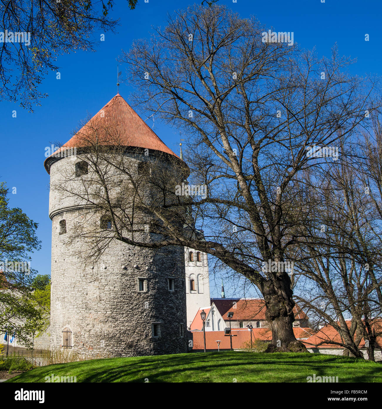 Vista del vecchio Tallinn splendida giornata di primavera. Torre Kiek in de kek Foto Stock