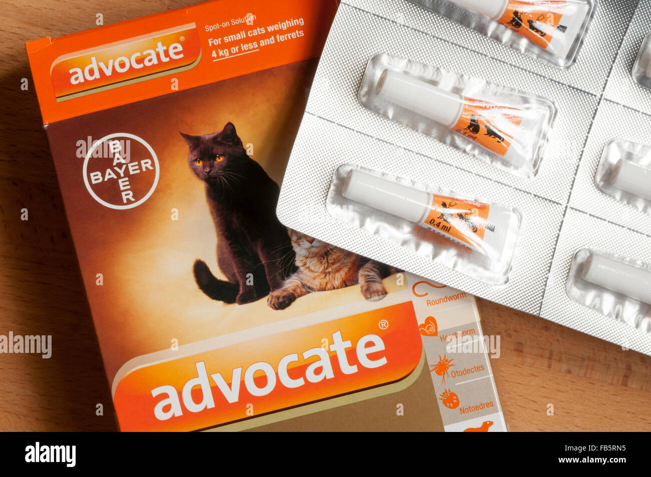 L'avvocato pulci e trattamento a vite senza fine per piccoli i gatti e i furetti. Foto Stock