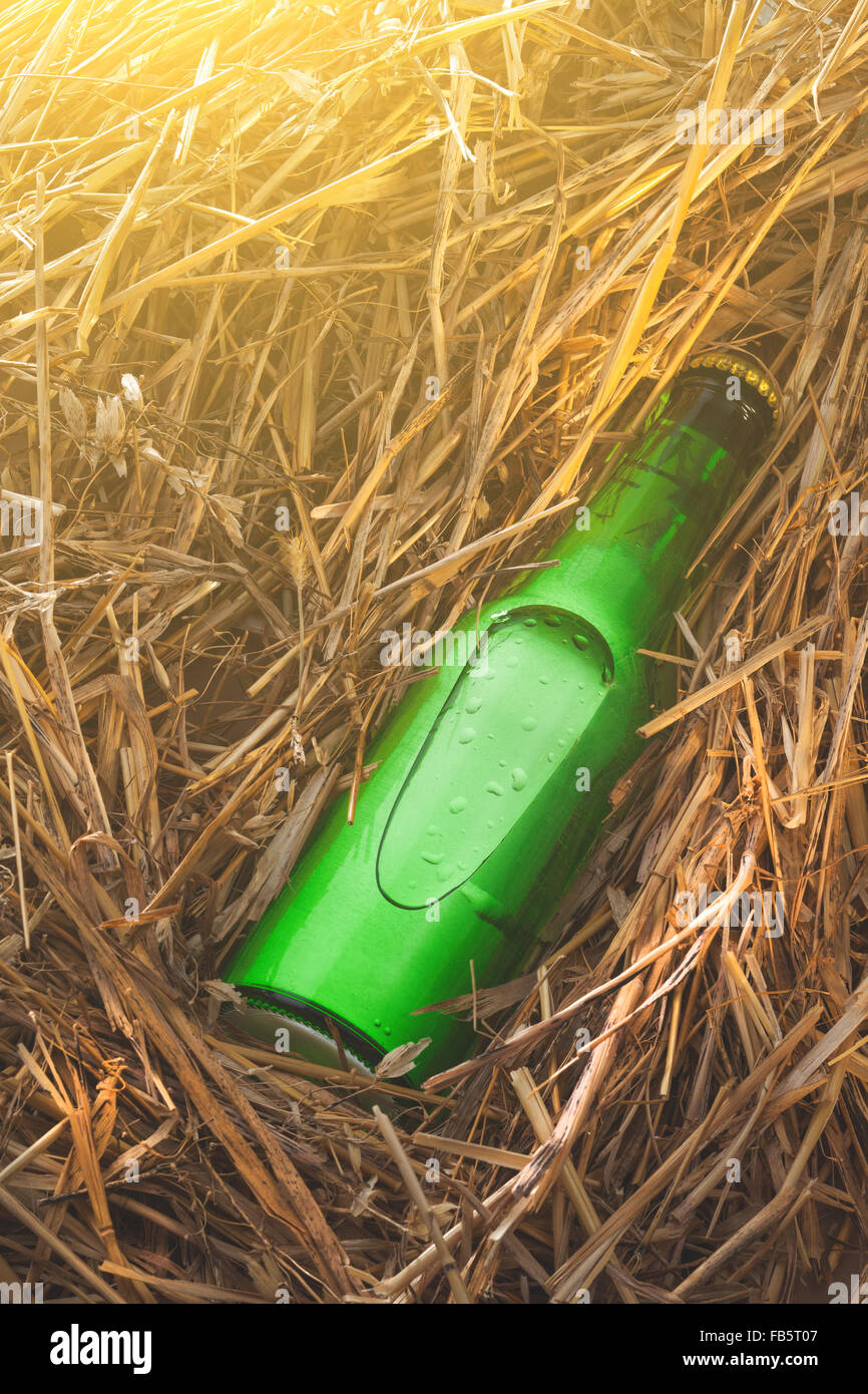 Bottiglia di birra nella pila di fieno. Senza etichetta, vetro verde Foto Stock