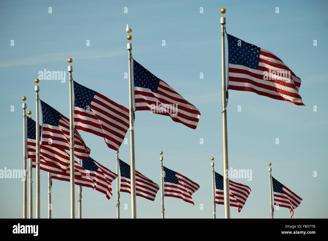 Washington Monument National Mall Washington DC // WASHINGTON DC - il Washington Monument si trova in cima al National Mall. Completato nel 1884, questo imponente obelisco, progettato da Robert Mills, onora George Washington. Con i suoi 555 piedi, 1/8 pollici, era l'edificio più alto del mondo al suo completamento. Foto Stock