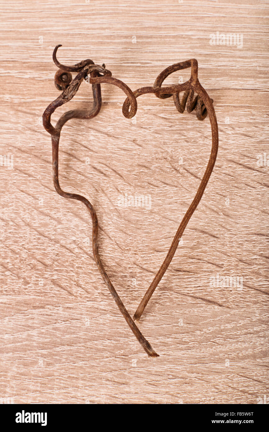 Cuore appassiti. Forma di cuore fatta di vigneti su texture di sfondo di legno. Foto Stock