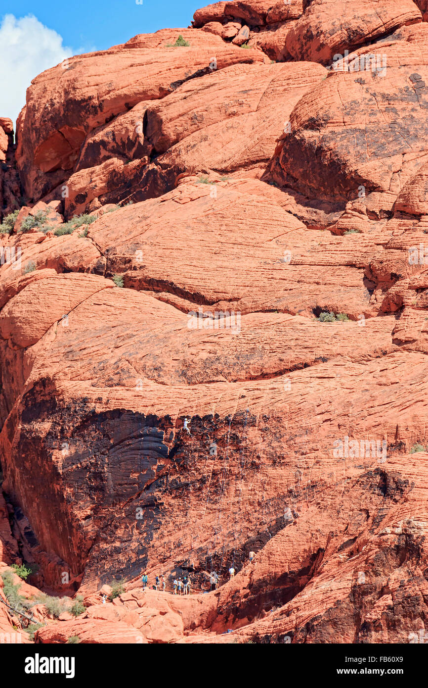 Gli alpinisti di scala del red rock di Calico 1 area in il calicò Colline del Red Rock Canyon National Conservation Area Foto Stock
