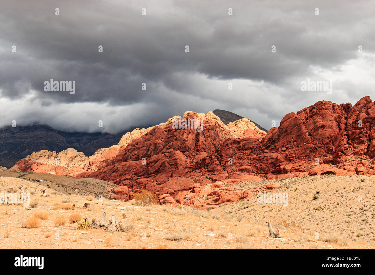 Nuvole temporalesche chiudere in su il calicò Colline del Red Rock Canyon National Conservation Area 20 miglia ad ovest di Las Vegas, NV, Stati Uniti d'America. Foto Stock