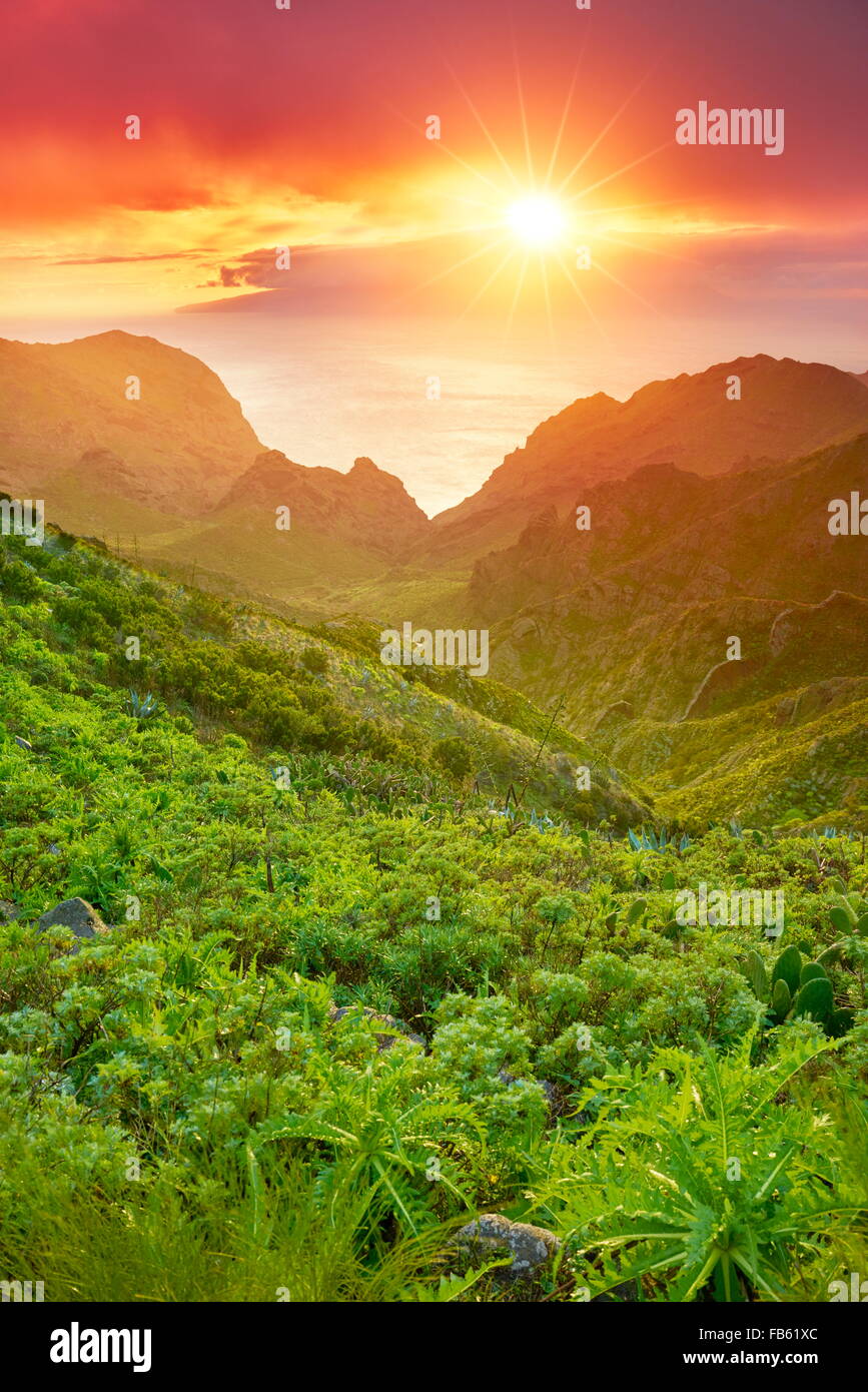 Tramonto a Tenerife, Isole Canarie, Spagna Foto Stock