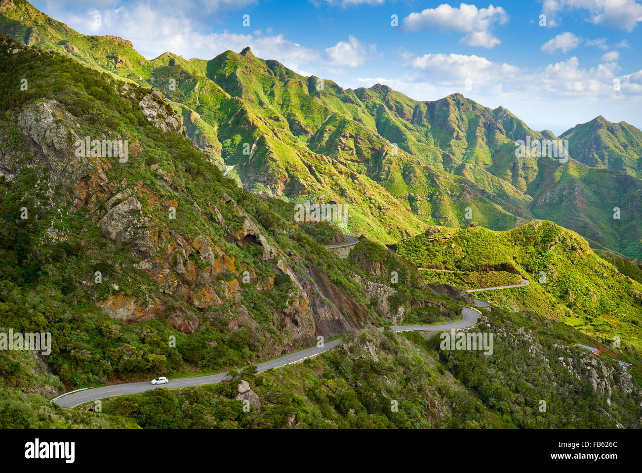 Anaga Parco Rurale, Tenerife, Isole Canarie, Spagna Foto Stock