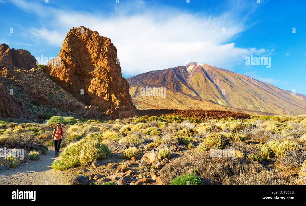 Il monte Teide, Parco Nazionale di Teide Isole Canarie, Tenerife, Spagna Foto Stock