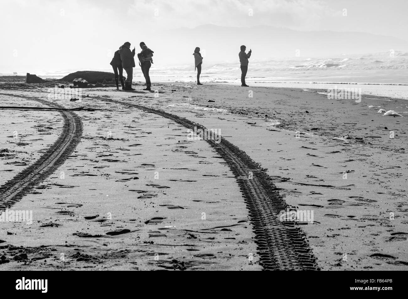 Un gruppo di persone per godersi la spiaggia e scattare foto Foto Stock
