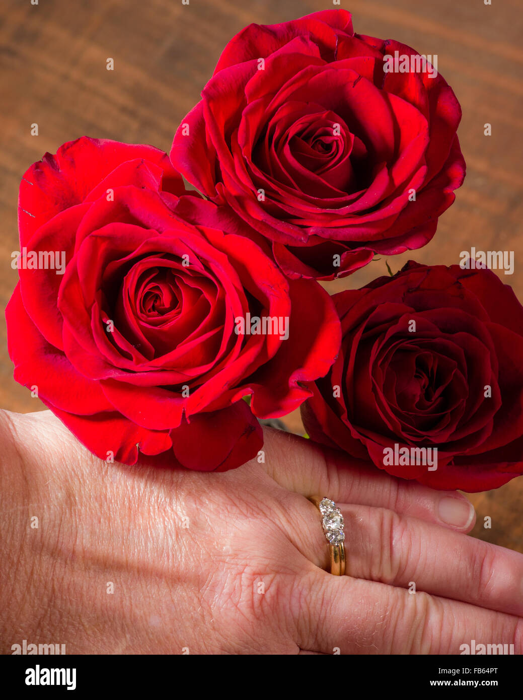 Tre rose rosse con la donna la mano e il nuovo anello di diamante Foto Stock