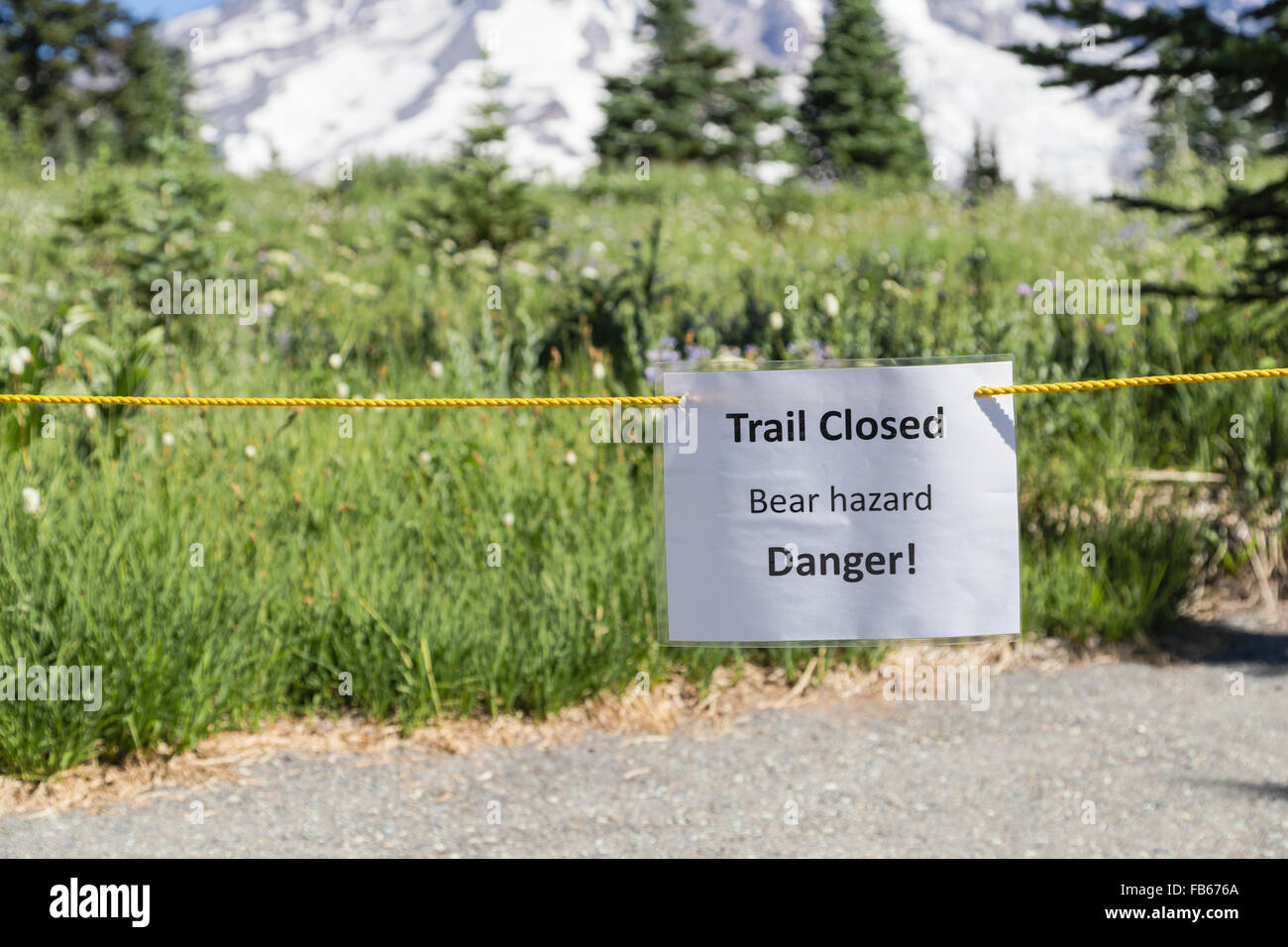Mt. Rainier National Park, Stati Uniti d'America. Sentiero Nisqually chiuso a causa di un orso avvistamento. Foto Stock