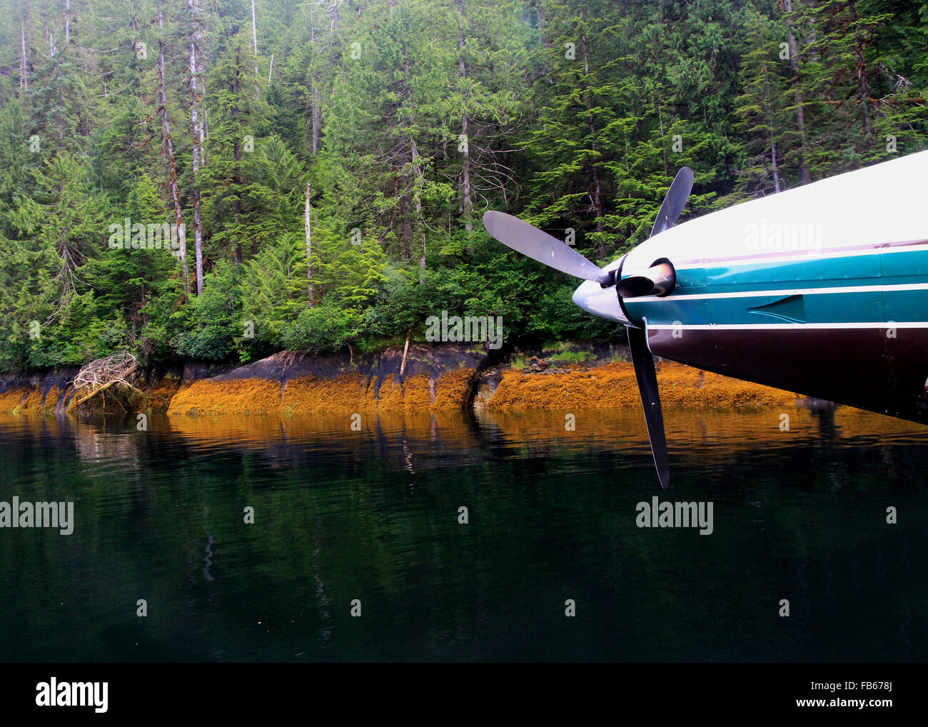 Idrovolanti volo turistico in Rudyerd Bay della bella Misty Fjords vicino a Ketchikan, Alaska Foto Stock