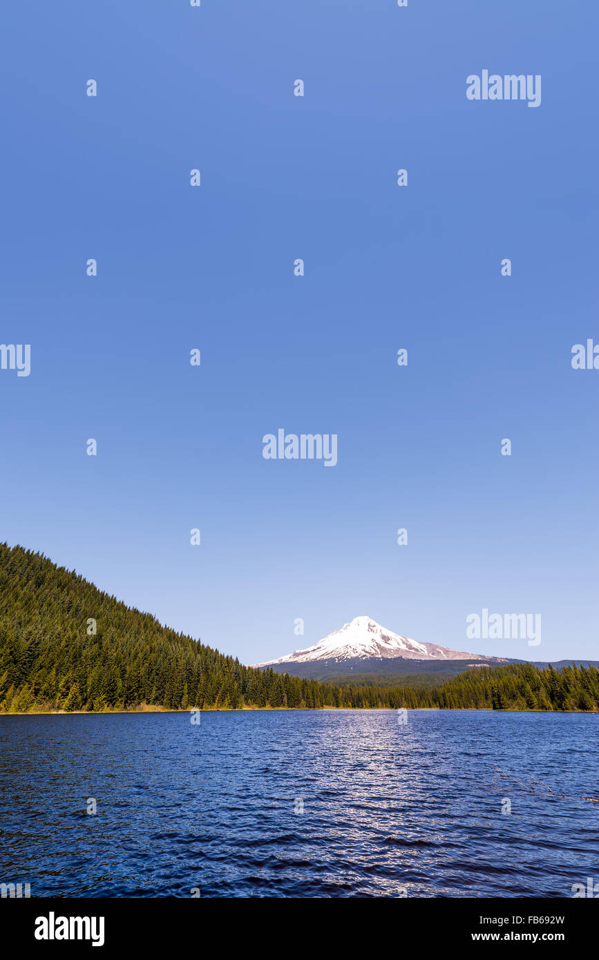 Vista verticale di Mt. Cofano e Trillium Lago in Oregon Foto Stock