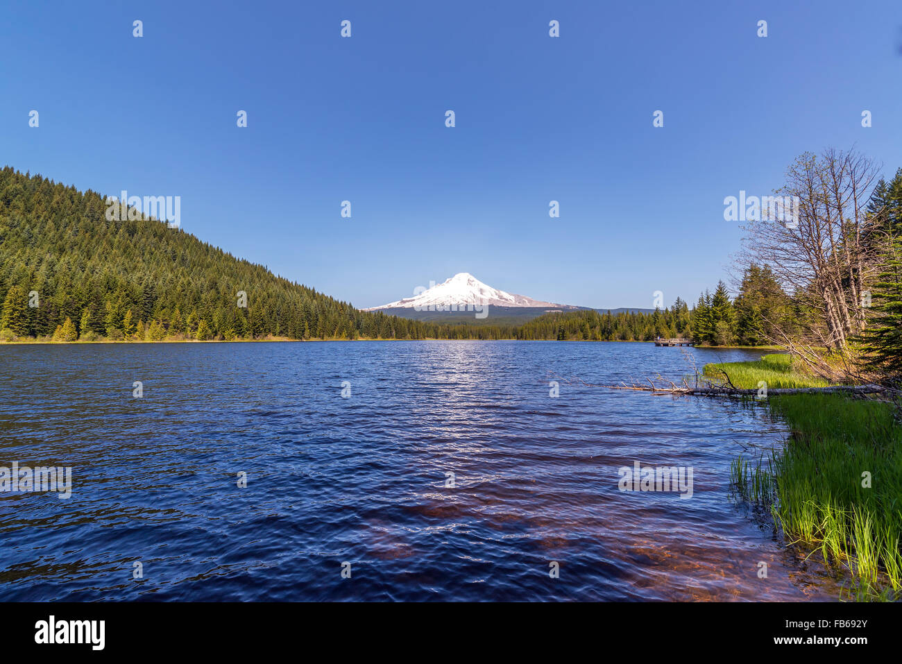 Ampio angolo di visione di Mt. Cofano e Trillium Lago in Oregon Foto Stock