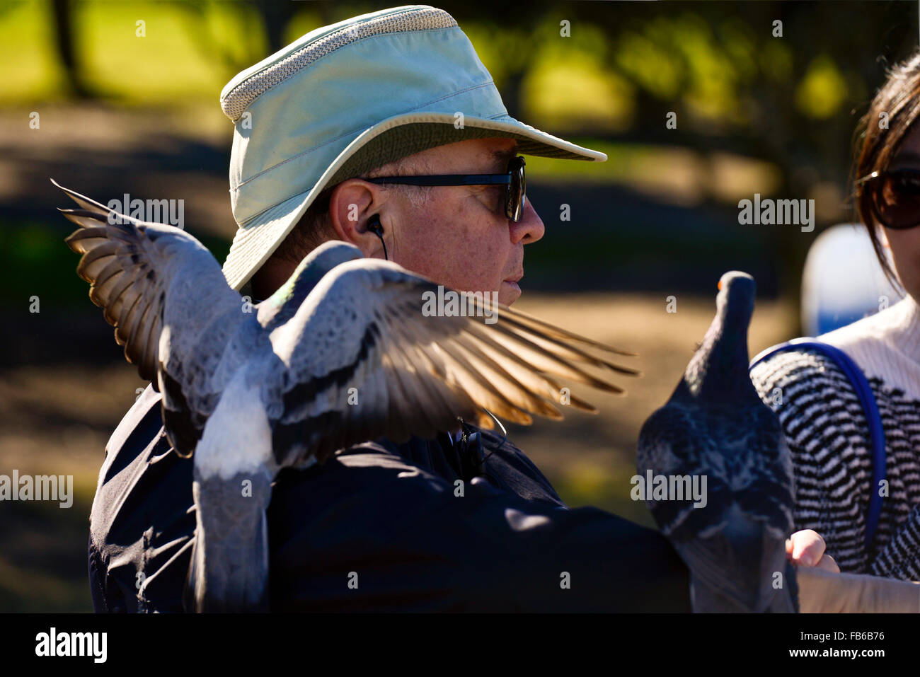 Un uomo cordiale alimentazione piccioni, La Jolla Cove, San Diego, California Foto Stock