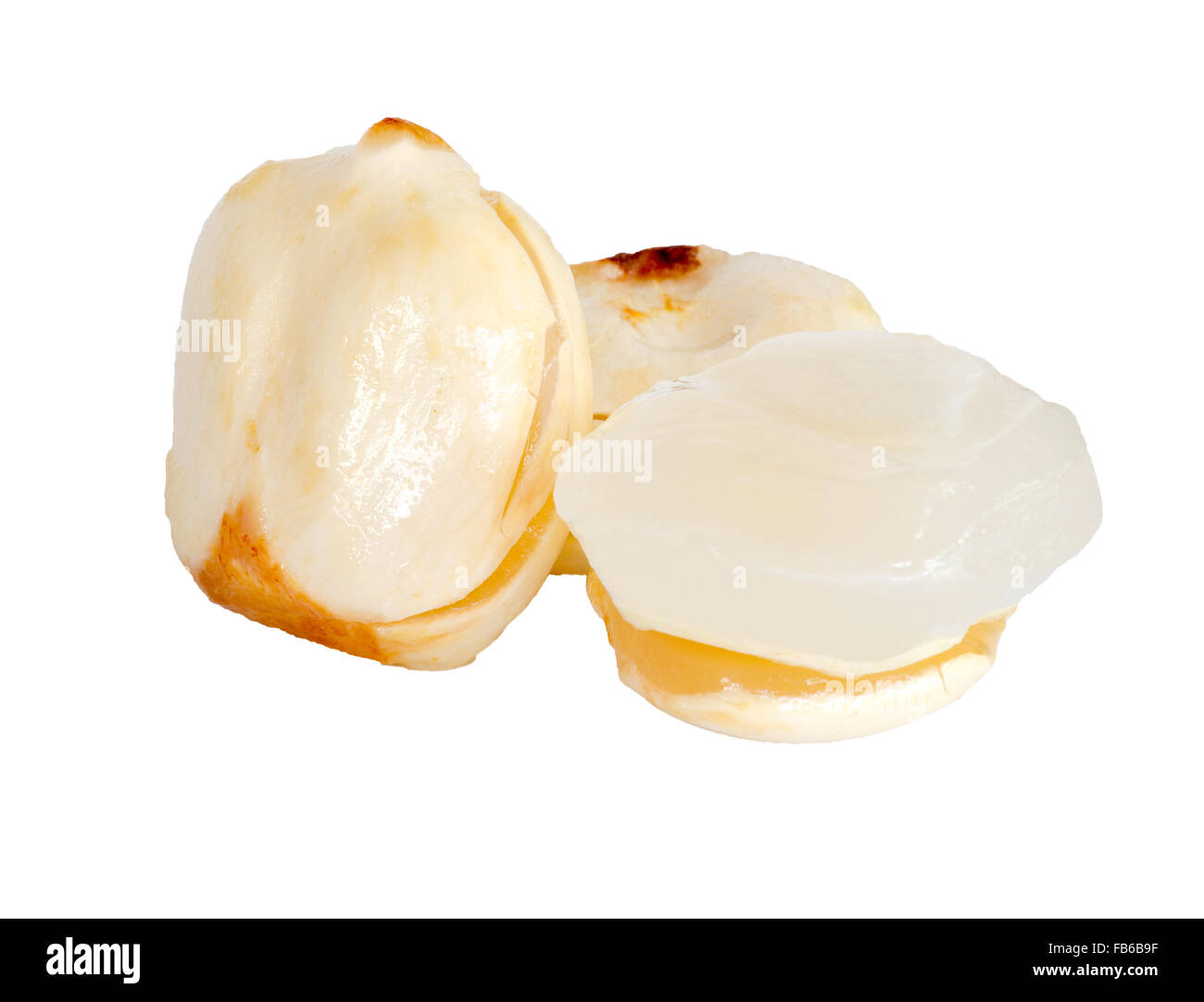 Asian Palmyra palm, Toddy palm isolati su sfondo bianco. Foto Stock