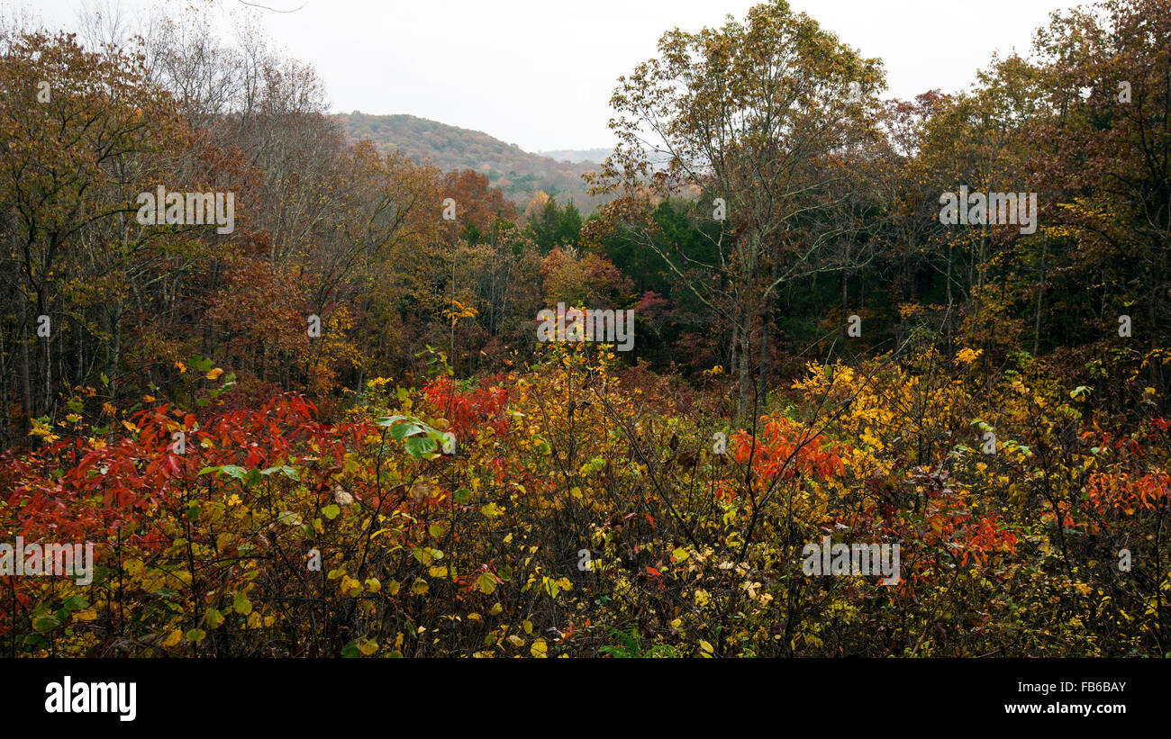 Si affacciano su di colline nel tardo autunno, il Parco nazionale di Mammoth Cave, Kentucky, Stati Uniti d'America Foto Stock