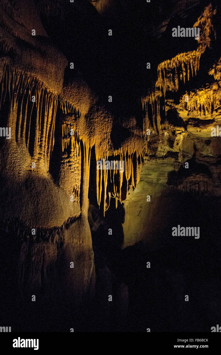 Congelati porzione Niagara della Caverna del Mammuth, il Parco nazionale di Mammoth Cave, Kentucky, Stati Uniti d'America Foto Stock