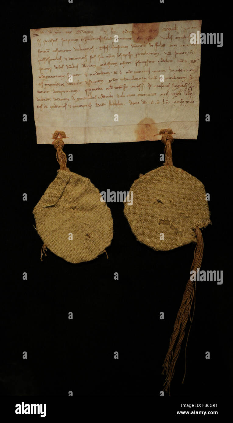 Lettera di patronage impegnativa testo
