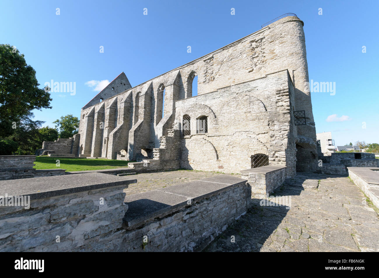 Le rovine di Pirita convento dedicato a Santa Brigida, Tallinn, Estonia Foto Stock