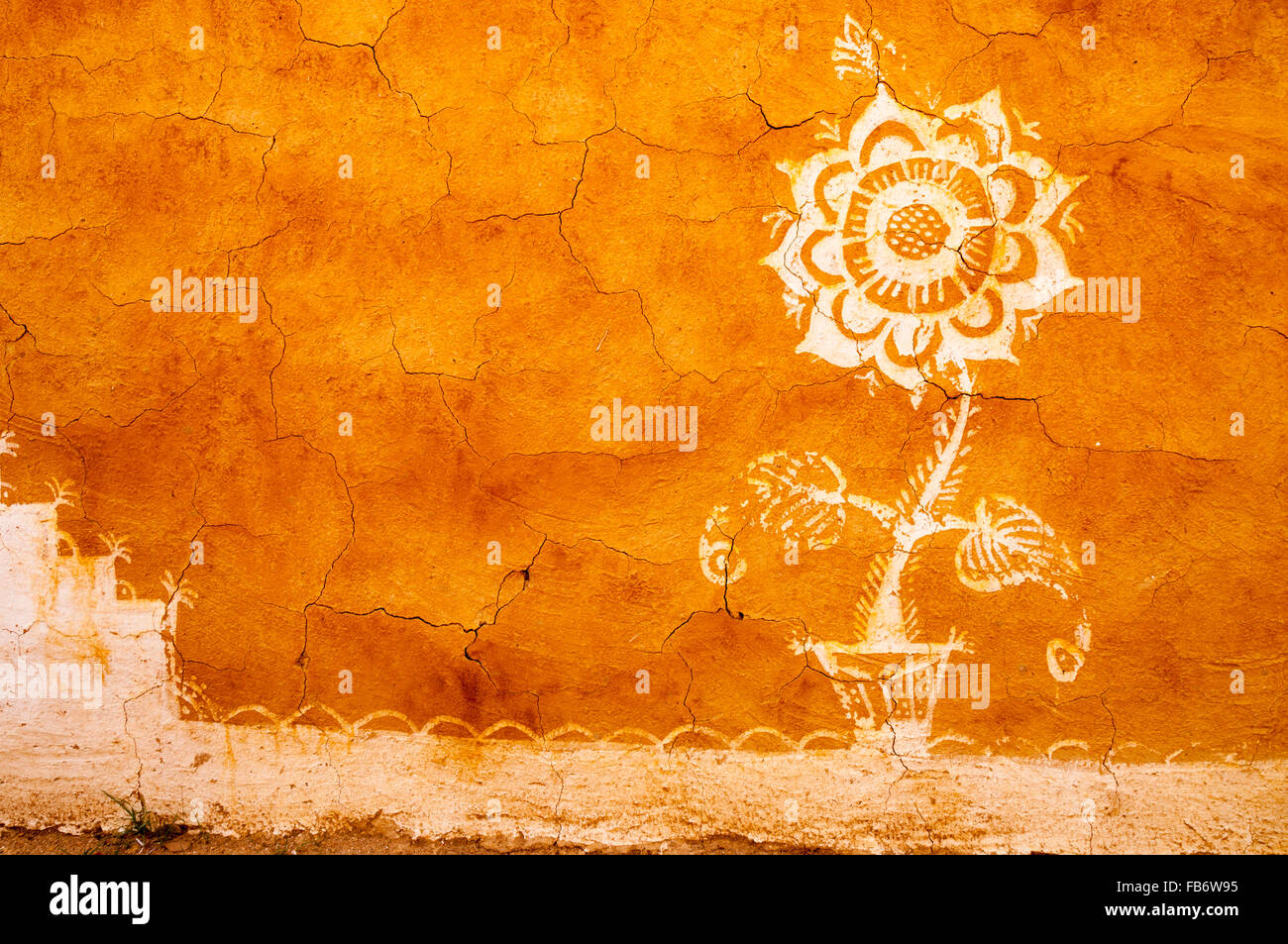 Fower bianco a creta asciugata a parete, India Foto Stock