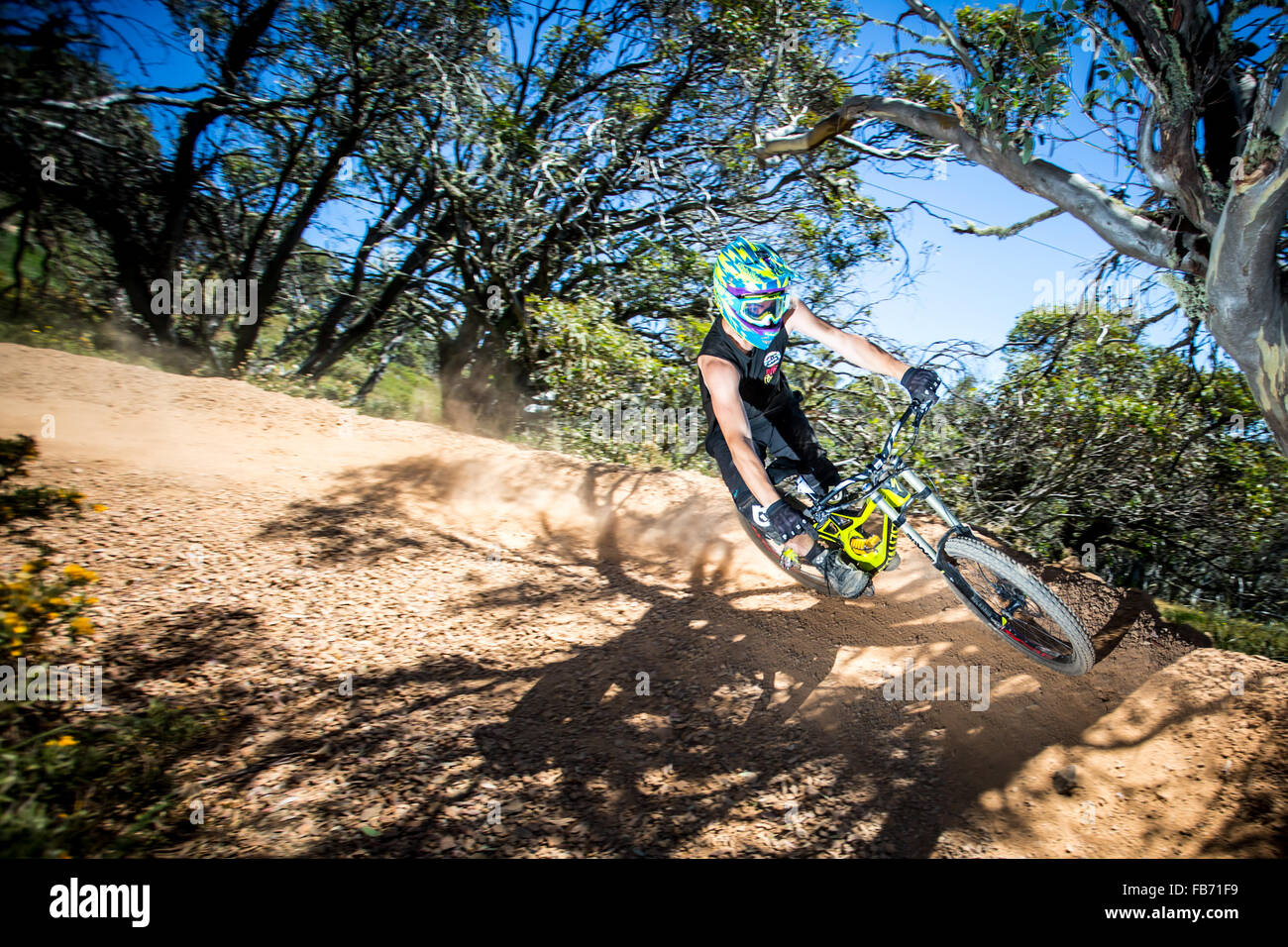 Mt Buller, Australia - 30 dicembre 2015: Discesa con la mountain bike rider tentare la via ABOM su dicembre 30, 2015 in Mt Buller Foto Stock